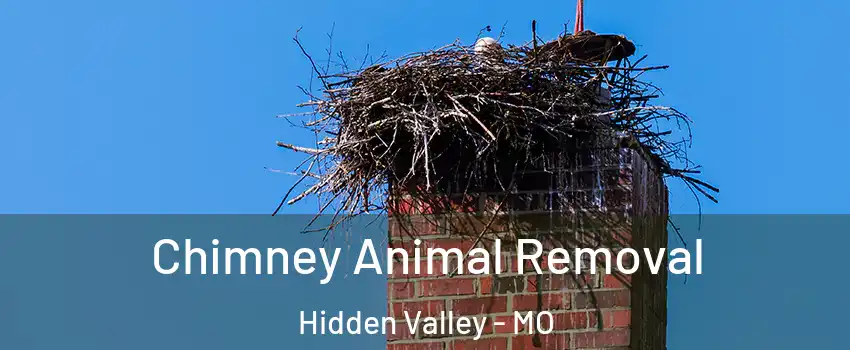 Chimney Animal Removal Hidden Valley - MO