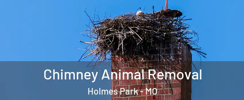 Chimney Animal Removal Holmes Park - MO