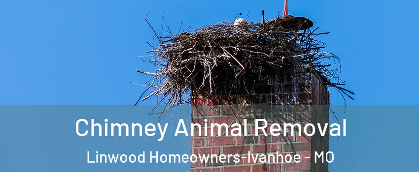 Chimney Animal Removal Linwood Homeowners-Ivanhoe - MO