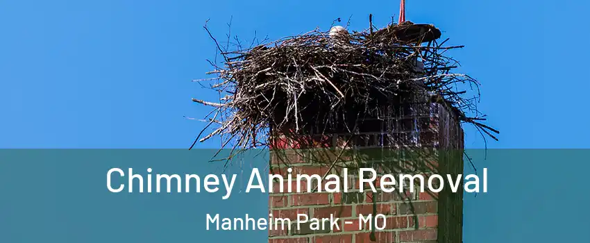 Chimney Animal Removal Manheim Park - MO
