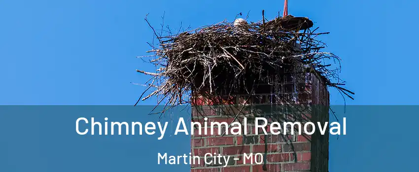 Chimney Animal Removal Martin City - MO