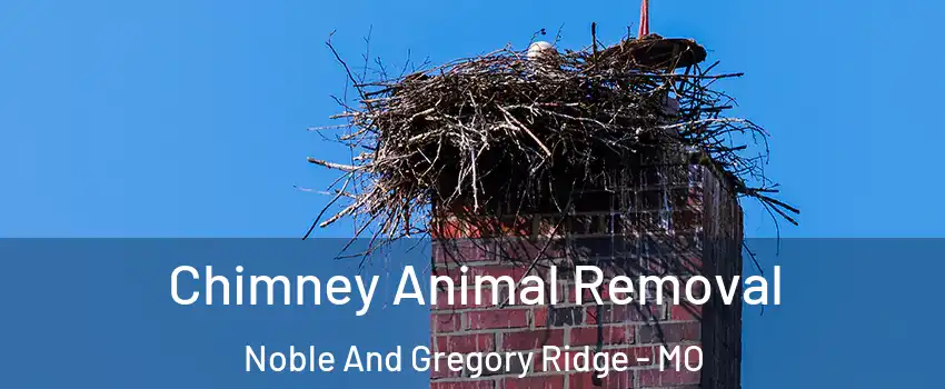 Chimney Animal Removal Noble And Gregory Ridge - MO