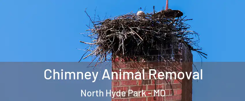 Chimney Animal Removal North Hyde Park - MO