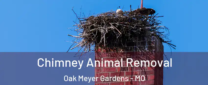 Chimney Animal Removal Oak Meyer Gardens - MO