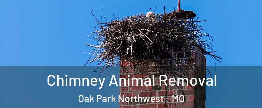 Chimney Animal Removal Oak Park Northwest - MO