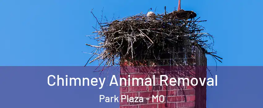 Chimney Animal Removal Park Plaza - MO