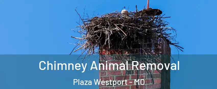 Chimney Animal Removal Plaza Westport - MO