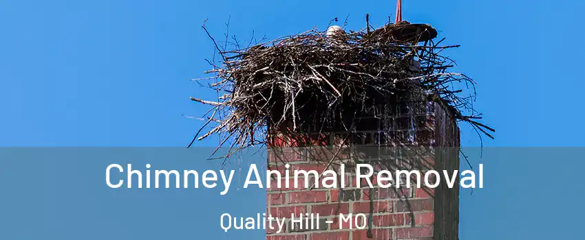 Chimney Animal Removal Quality Hill - MO