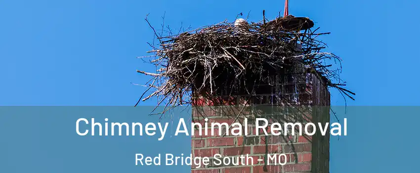 Chimney Animal Removal Red Bridge South - MO