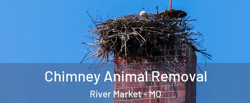 Chimney Animal Removal River Market - MO