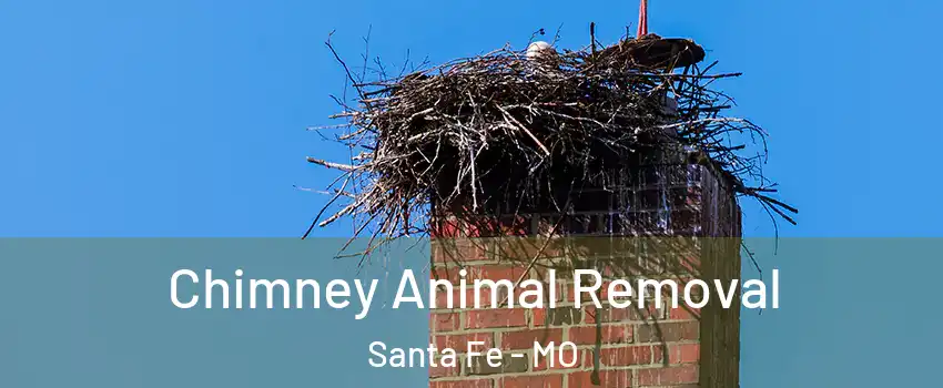 Chimney Animal Removal Santa Fe - MO