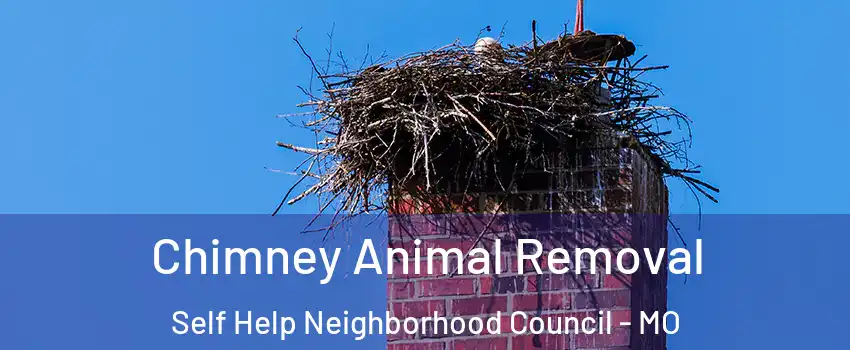 Chimney Animal Removal Self Help Neighborhood Council - MO