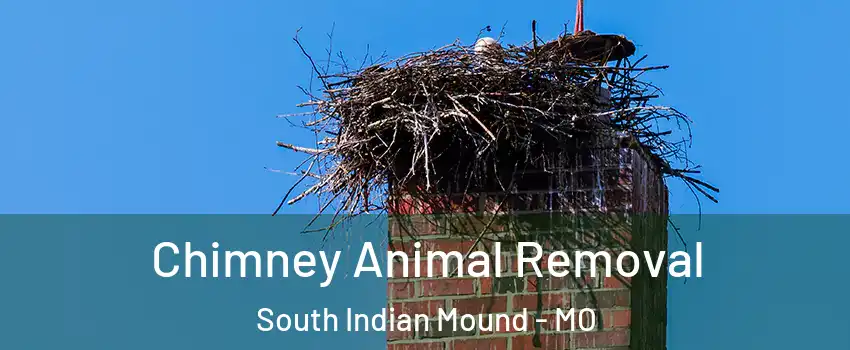 Chimney Animal Removal South Indian Mound - MO