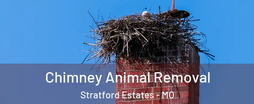 Chimney Animal Removal Stratford Estates - MO