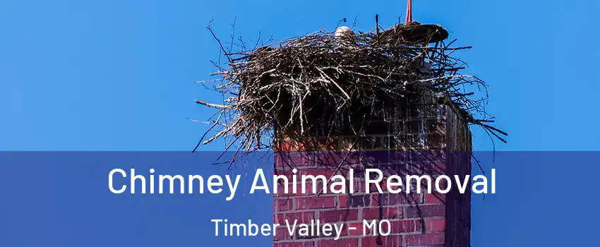 Chimney Animal Removal Timber Valley - MO