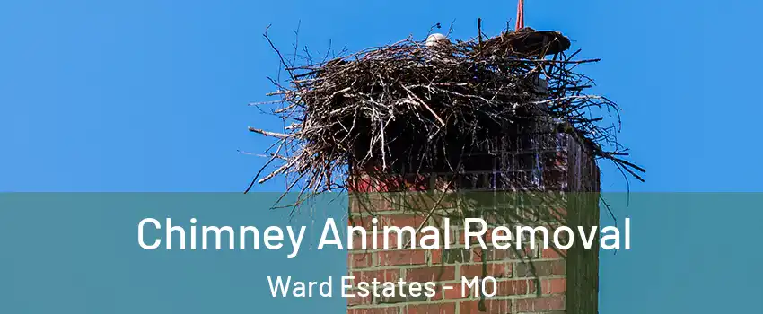 Chimney Animal Removal Ward Estates - MO