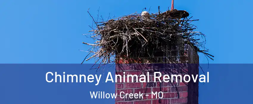 Chimney Animal Removal Willow Creek - MO