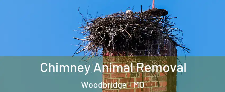Chimney Animal Removal Woodbridge - MO