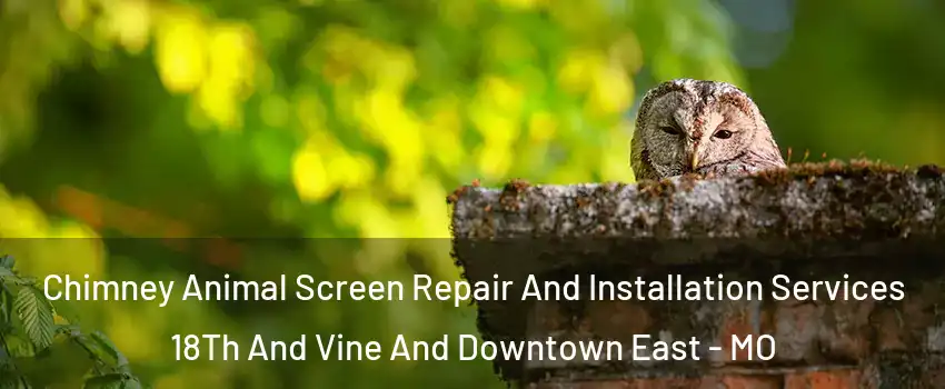 Chimney Animal Screen Repair And Installation Services 18Th And Vine And Downtown East - MO