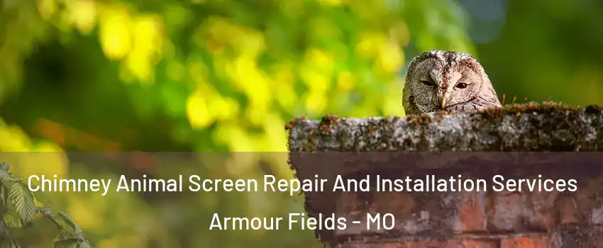 Chimney Animal Screen Repair And Installation Services Armour Fields - MO