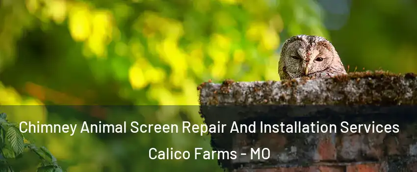 Chimney Animal Screen Repair And Installation Services Calico Farms - MO