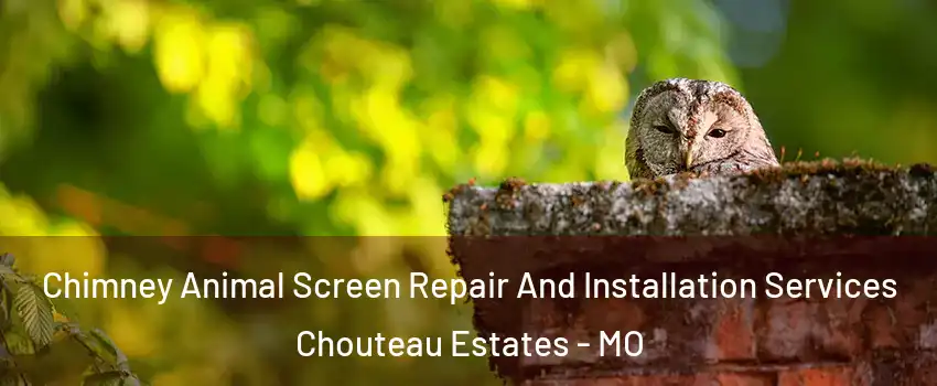 Chimney Animal Screen Repair And Installation Services Chouteau Estates - MO