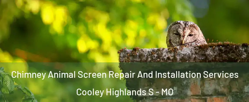 Chimney Animal Screen Repair And Installation Services Cooley Highlands S - MO