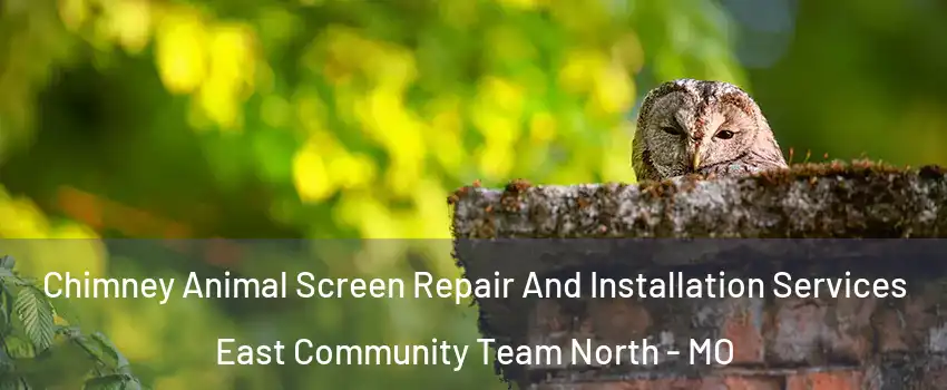 Chimney Animal Screen Repair And Installation Services East Community Team North - MO