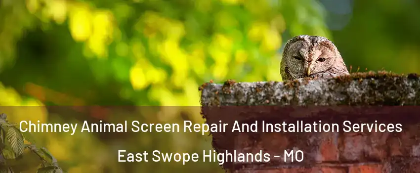 Chimney Animal Screen Repair And Installation Services East Swope Highlands - MO