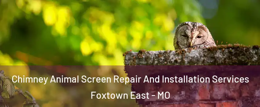Chimney Animal Screen Repair And Installation Services Foxtown East - MO