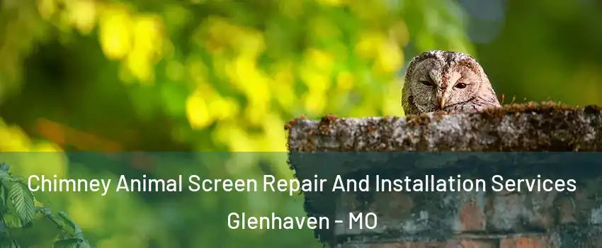 Chimney Animal Screen Repair And Installation Services Glenhaven - MO