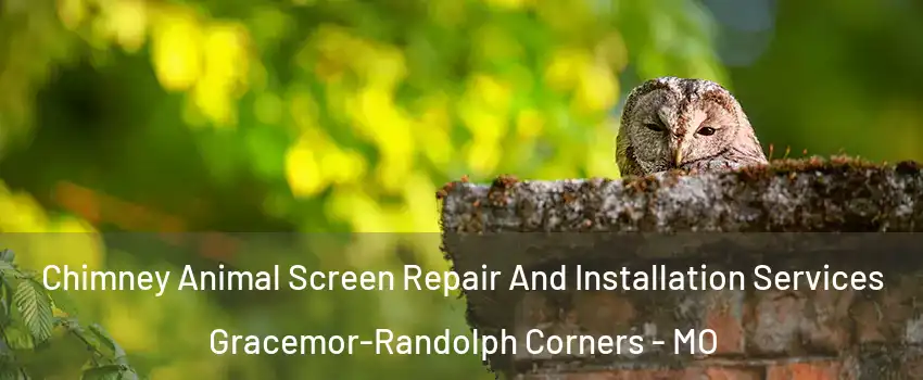 Chimney Animal Screen Repair And Installation Services Gracemor-Randolph Corners - MO
