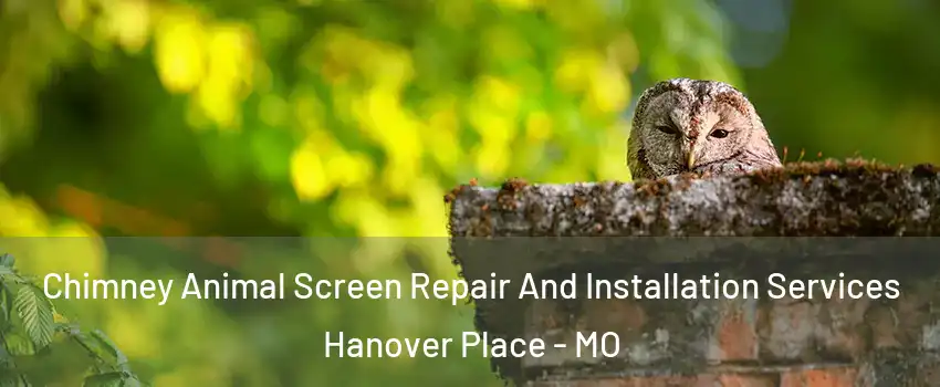 Chimney Animal Screen Repair And Installation Services Hanover Place - MO