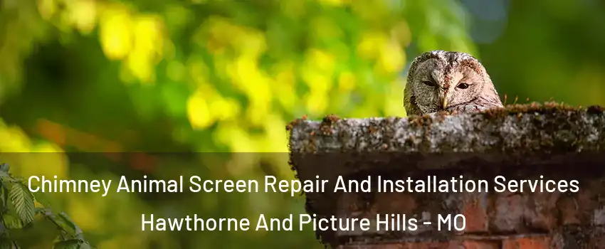 Chimney Animal Screen Repair And Installation Services Hawthorne And Picture Hills - MO