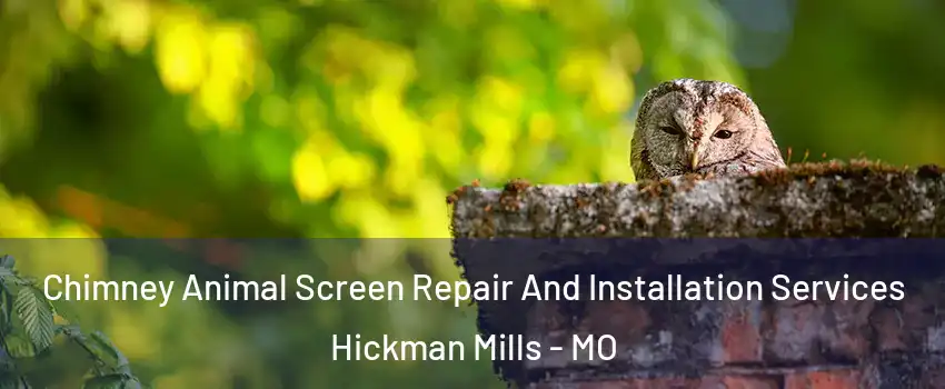 Chimney Animal Screen Repair And Installation Services Hickman Mills - MO