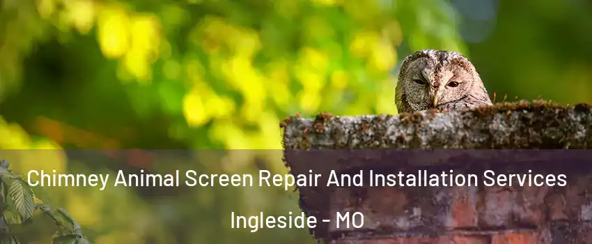 Chimney Animal Screen Repair And Installation Services Ingleside - MO