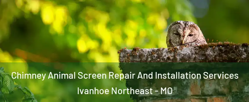 Chimney Animal Screen Repair And Installation Services Ivanhoe Northeast - MO