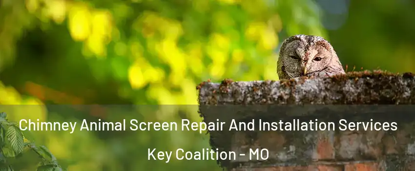 Chimney Animal Screen Repair And Installation Services Key Coalition - MO