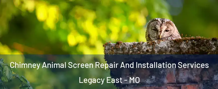 Chimney Animal Screen Repair And Installation Services Legacy East - MO