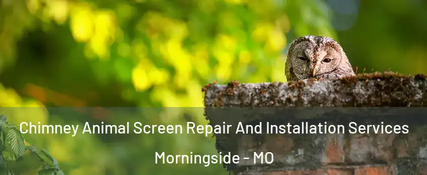 Chimney Animal Screen Repair And Installation Services Morningside - MO