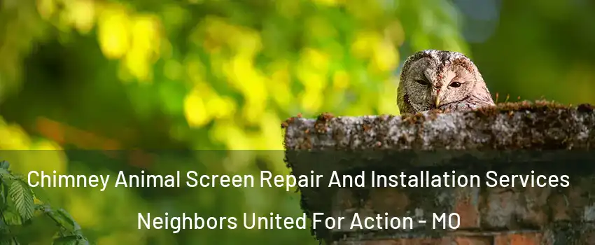 Chimney Animal Screen Repair And Installation Services Neighbors United For Action - MO