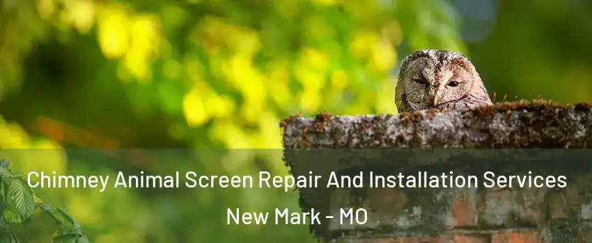 Chimney Animal Screen Repair And Installation Services New Mark - MO