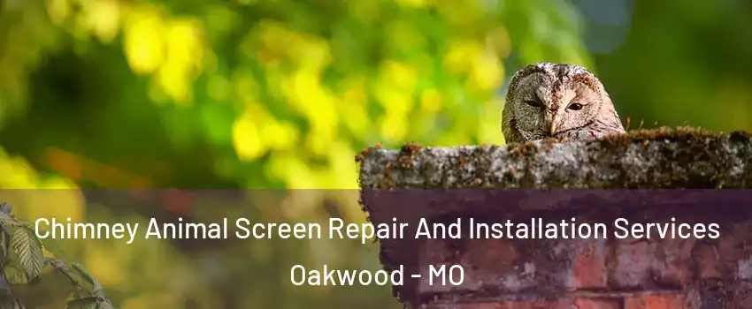Chimney Animal Screen Repair And Installation Services Oakwood - MO