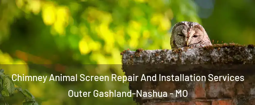 Chimney Animal Screen Repair And Installation Services Outer Gashland-Nashua - MO