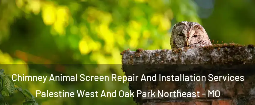 Chimney Animal Screen Repair And Installation Services Palestine West And Oak Park Northeast - MO