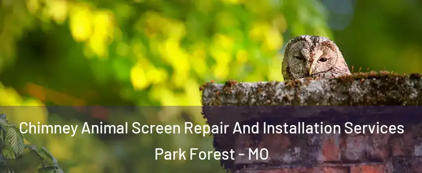 Chimney Animal Screen Repair And Installation Services Park Forest - MO
