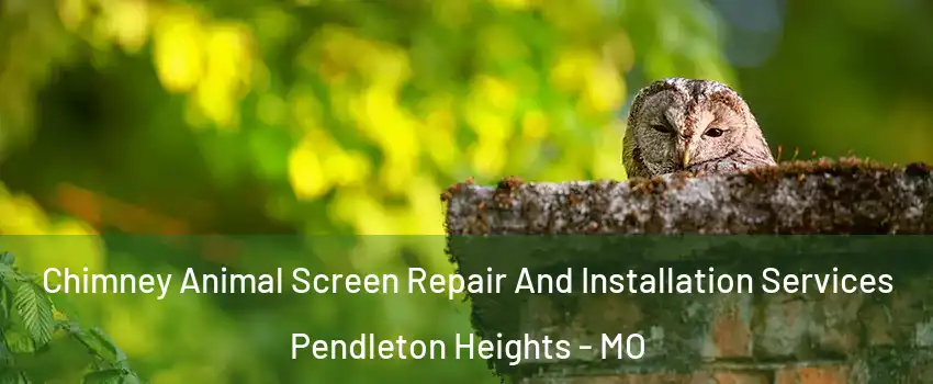 Chimney Animal Screen Repair And Installation Services Pendleton Heights - MO