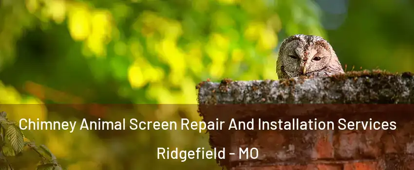 Chimney Animal Screen Repair And Installation Services Ridgefield - MO