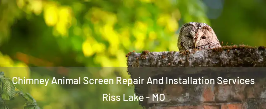 Chimney Animal Screen Repair And Installation Services Riss Lake - MO