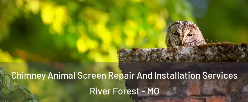 Chimney Animal Screen Repair And Installation Services River Forest - MO